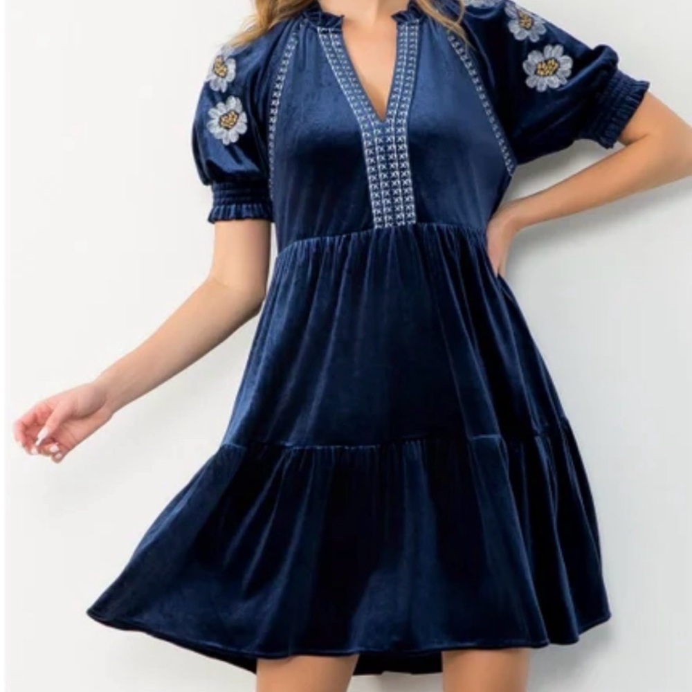 THML Navy Blue Velvet Embroidered Mini Dress
